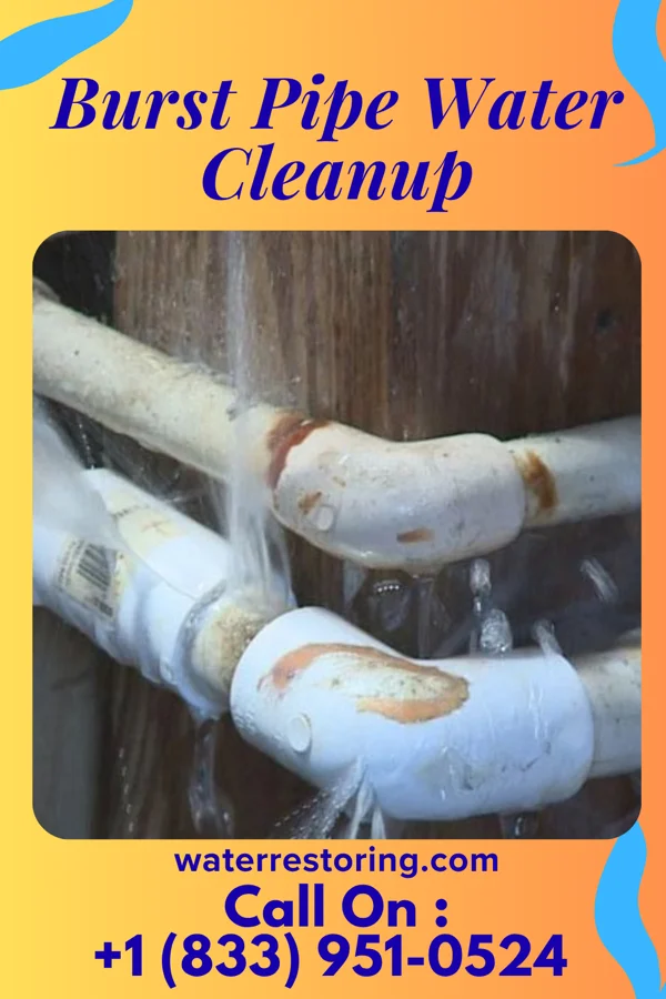 Burst Pipe Water Cleanup in Willowick, OH