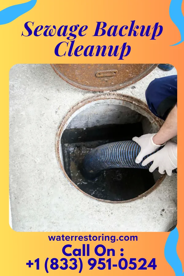 Sewage Backup Cleanup in Willowick, OH